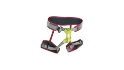 Edelrid Zack Gym Climbing Harness