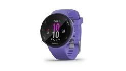 Garmin Forerunner 45S Watch